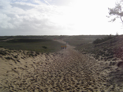Paysage onirique. Paysage onirique.